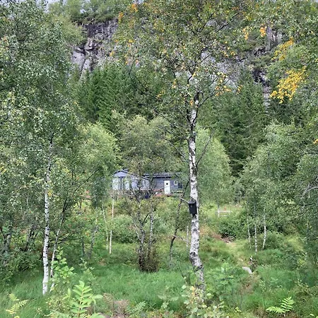 Koselig Med Vedfyrt Badstue * Dirdal