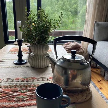 Koselig Med Vedfyrt Badstue Dirdal