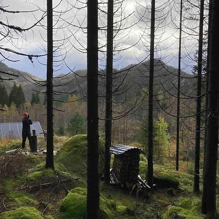 Koselig Med Vedfyrt Badstue *