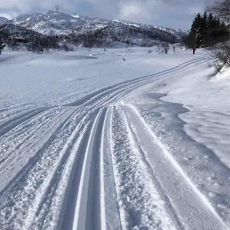 Koselig Med Vedfyrt Badstue * Dirdal
