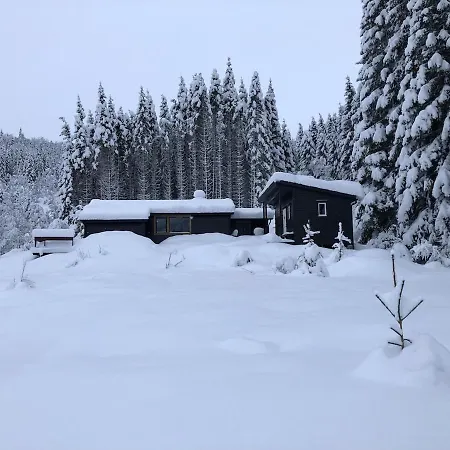 Koselig Med Vedfyrt Badstue * Dirdal